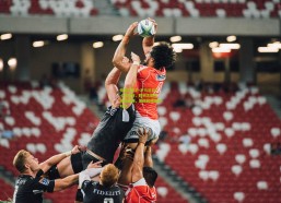 排列五官方-罗马尼亚1-0奥地利，胜利之歌响彻绿茵场，集锦回顾精彩对决